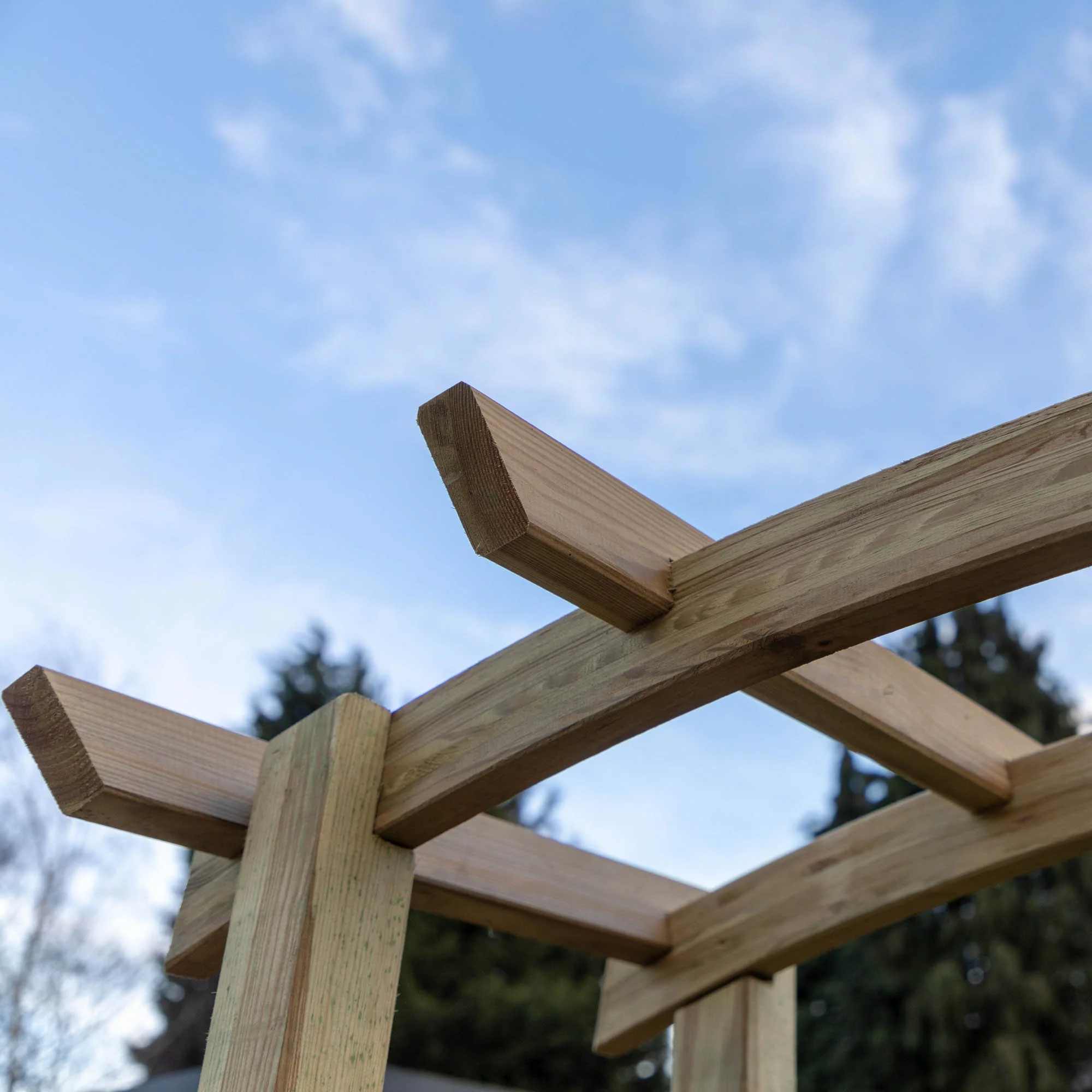 Bow Top Garden Arch - Image 3