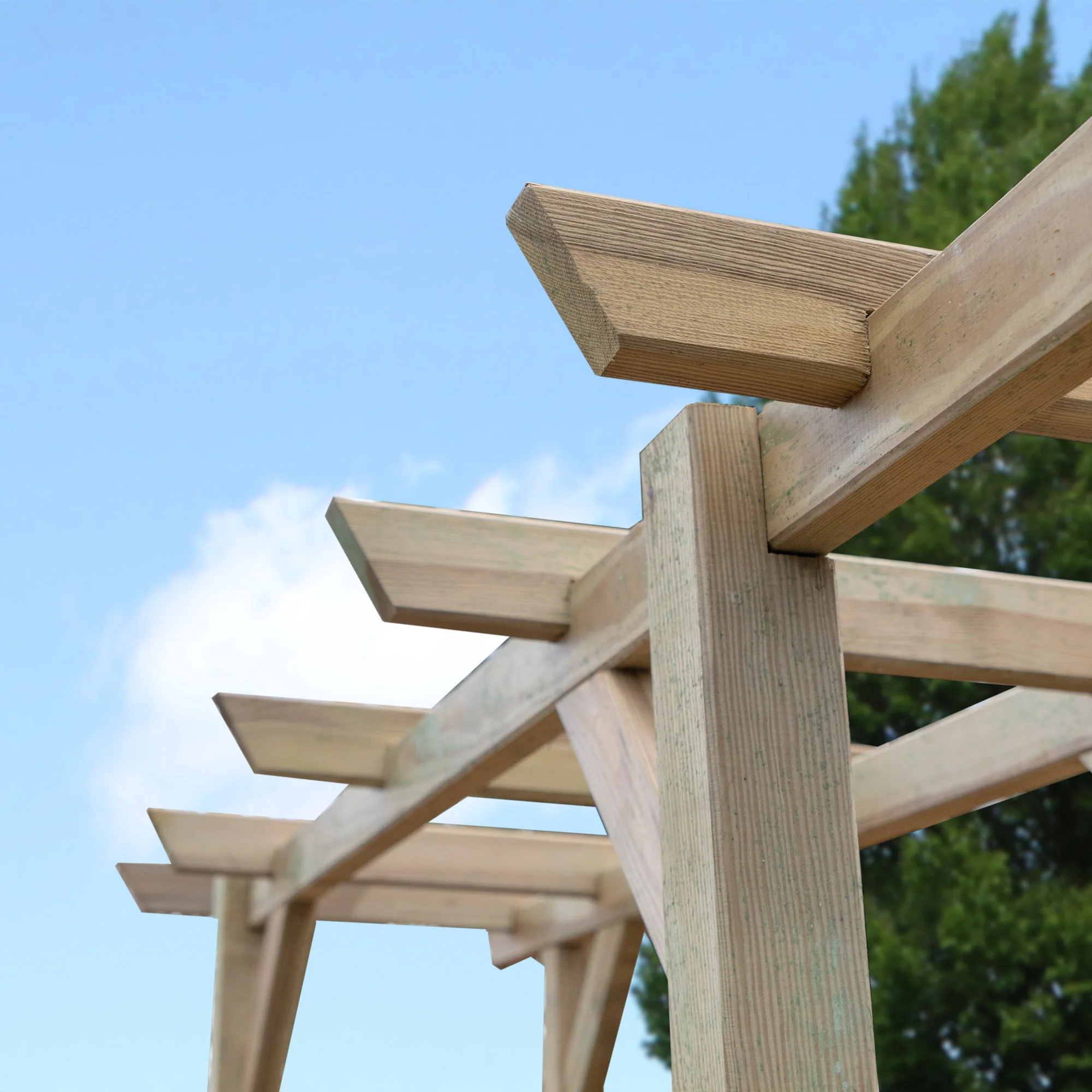 Flat Top Garden Arch - Image 4